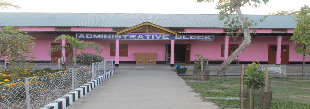 Nirmal Haloi College