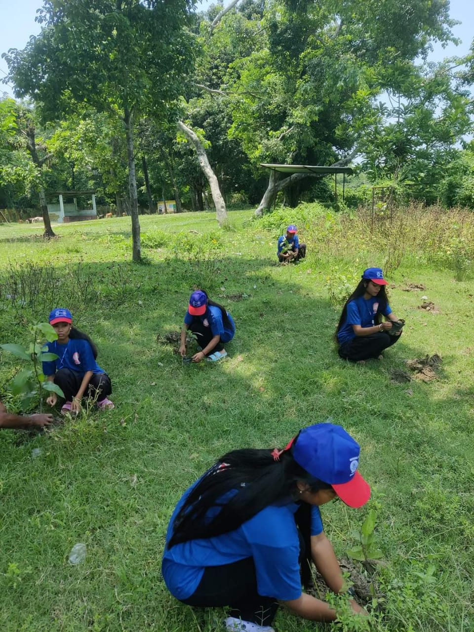 NSS Activity